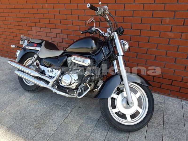 Big with watermark 36835487 2241419869207989 702532357567021056 n