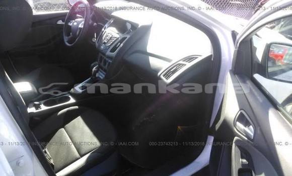 Buy Used Ford Focus White Car in Tbilisi in Tbilisi Buy Used Ford Focus White Car in Tbilisi in Tbilisi