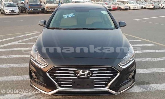 Buy Import Hyundai Sonata Black Car in Import - Dubai in Abhasia Buy Import Hyundai Sonata Black Car in Import - Dubai in Abhasia