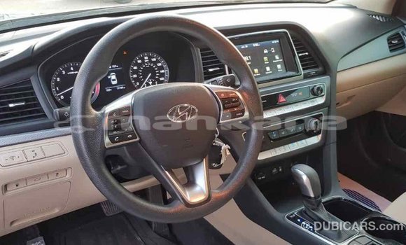 Buy Import Hyundai Sonata Black Car in Import - Dubai in Abhasia Buy Import Hyundai Sonata Black Car in Import - Dubai in Abhasia