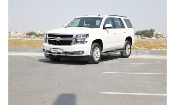 Buy Import Chevrolet Tahoe White Car in Import - Dubai in Abhasia