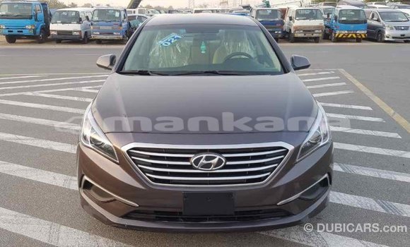 Buy Import Hyundai Sonata Brown Car in Import - Dubai in Abhasia Buy Import Hyundai Sonata Brown Car in Import - Dubai in Abhasia
