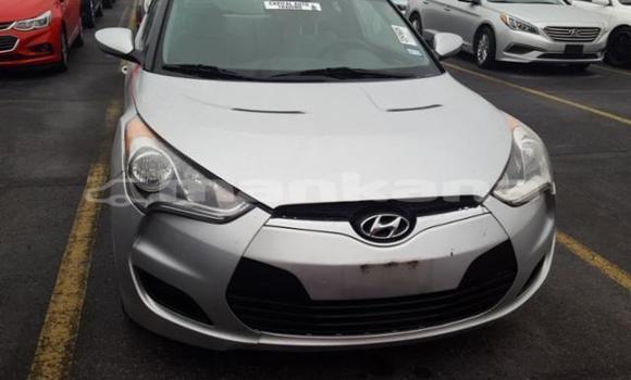 Buy Used Hyundai Veloster Silver Car in Tbilisi in Tbilisi