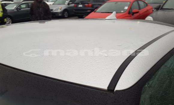 Buy Used Hyundai Veloster Silver Car in Tbilisi in Tbilisi Buy Used Hyundai Veloster Silver Car in Tbilisi in Tbilisi