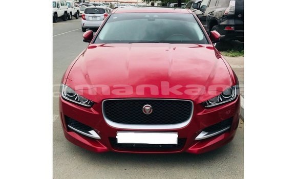 Buy Import Jaguar XE Red Car in Import - Dubai in Abhasia
