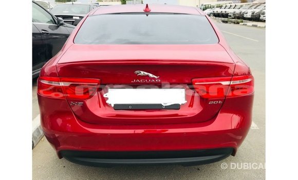 Buy Import Jaguar XE Red Car in Import - Dubai in Abhasia Buy Import Jaguar XE Red Car in Import - Dubai in Abhasia