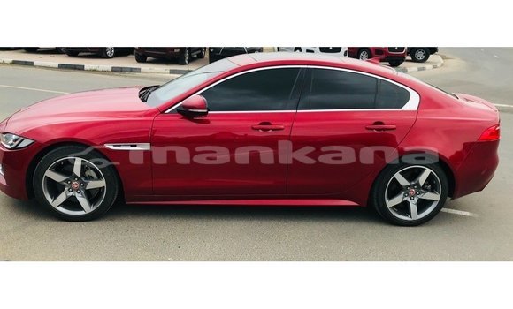 Buy Import Jaguar XE Red Car in Import - Dubai in Abhasia Buy Import Jaguar XE Red Car in Import - Dubai in Abhasia