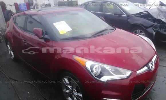 Buy Used Hyundai Veloster Red Car in Tbilisi in Tbilisi Buy Used Hyundai Veloster Red Car in Tbilisi in Tbilisi