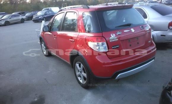 Buy Used Suzuki SX4 Red Car in Tbilisi in Tbilisi Buy Used Suzuki SX4 Red Car in Tbilisi in Tbilisi