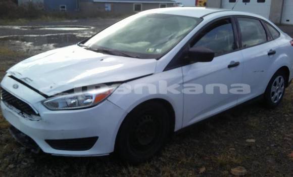 Buy Used Ford Focus White Car in Tbilisi in Tbilisi