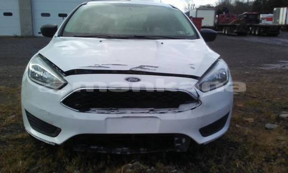 Buy Used Ford Focus White Car in Tbilisi in Tbilisi Buy Used Ford Focus White Car in Tbilisi in Tbilisi
