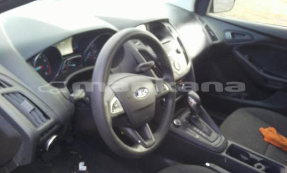 Buy Used Ford Focus White Car in Tbilisi in Tbilisi Buy Used Ford Focus White Car in Tbilisi in Tbilisi