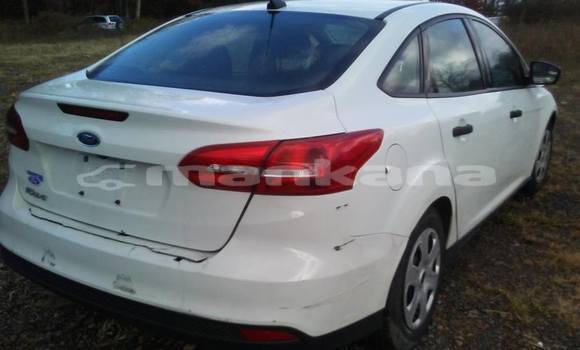 Buy Used Ford Focus White Car in Tbilisi in Tbilisi Buy Used Ford Focus White Car in Tbilisi in Tbilisi