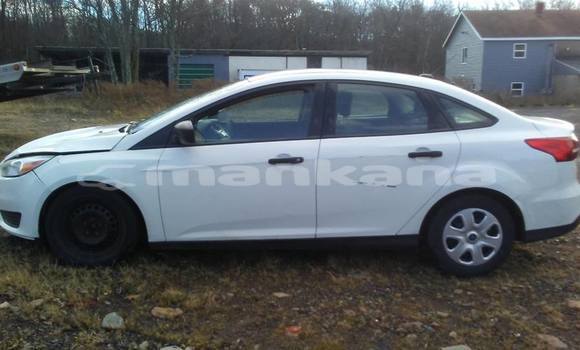 Buy Used Ford Focus White Car in Tbilisi in Tbilisi Buy Used Ford Focus White Car in Tbilisi in Tbilisi