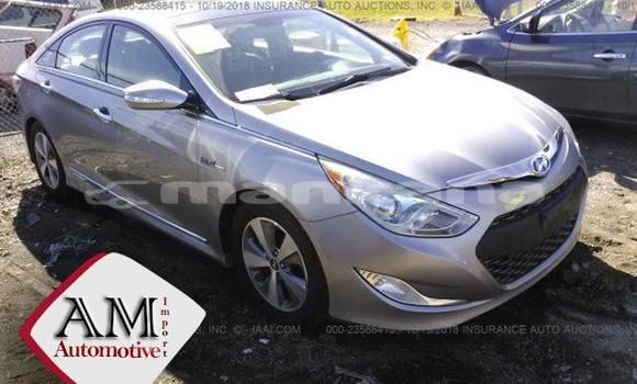 Buy Used Hyundai Sonata Silver Car in Tbilisi in Tbilisi