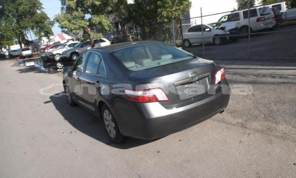 Buy Used Toyota Camry Other Car in Tbilisi in Tbilisi Buy Used Toyota Camry Other Car in Tbilisi in Tbilisi