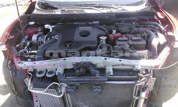 Buy Used Nissan Juke Red Car in Tbilisi in Tbilisi Buy Used Nissan Juke Red Car in Tbilisi in Tbilisi