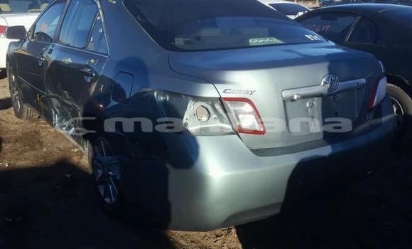 Buy Used Toyota Camry Other Car in Tbilisi in Tbilisi Buy Used Toyota Camry Other Car in Tbilisi in Tbilisi