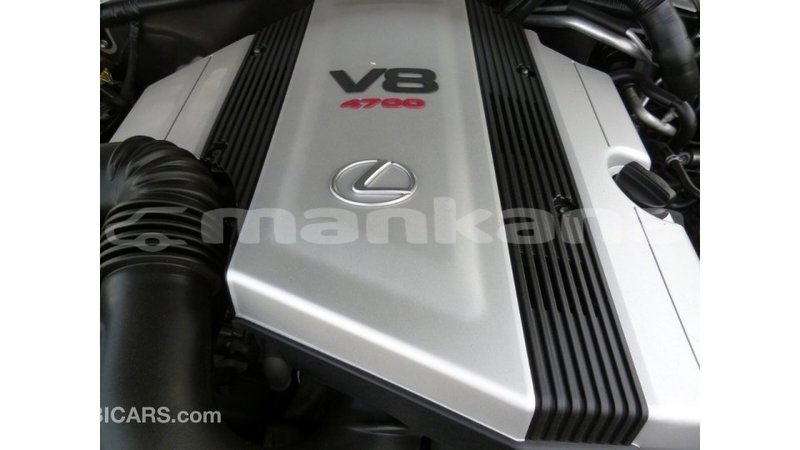 Big with watermark c8b8bd52 f429 4d23 8fc3 723cd9999e33