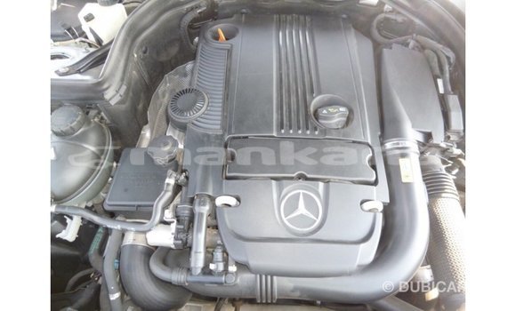 Buy Import Mercedes-Benz 250 Other Car in Import - Dubai in Abhasia Buy Import Mercedes-Benz 250 Other Car in Import - Dubai in Abhasia