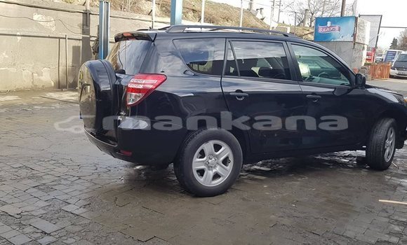 Buy Used Toyota RAV4 Black Car in Tbilisi in Tbilisi