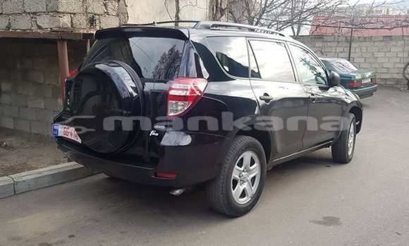 Buy Used Toyota RAV4 Black Car in Tbilisi in Tbilisi Buy Used Toyota RAV4 Black Car in Tbilisi in Tbilisi