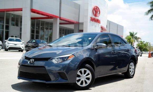 Buy Used Toyota Corolla Black Car in Tbilisi in Tbilisi