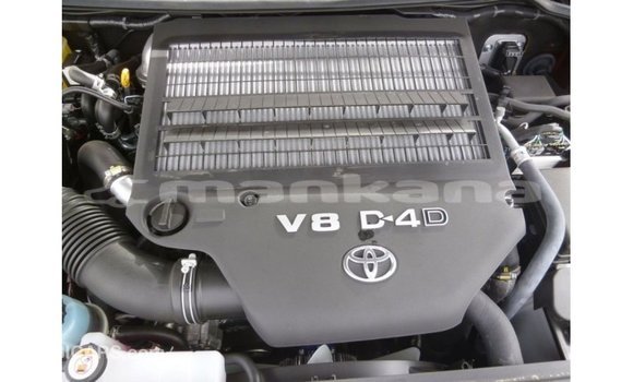 Buy Import Toyota Land Cruiser Brown Car in Import - Dubai in Abhasia Buy Import Toyota Land Cruiser Brown Car in Import - Dubai in Abhasia