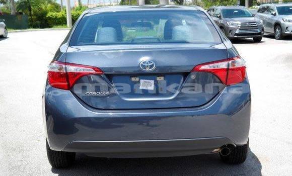 Buy Used Toyota Corolla Black Car in Tbilisi in Tbilisi Buy Used Toyota Corolla Black Car in Tbilisi in Tbilisi