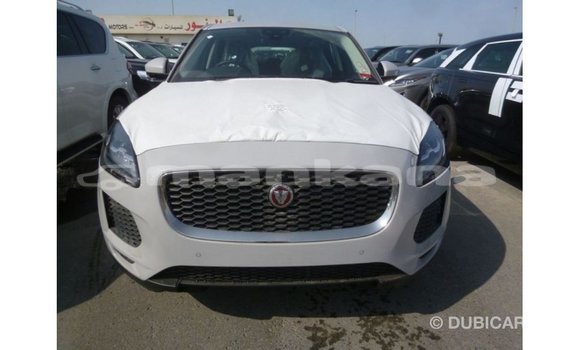 Buy Import Jaguar E-Pace White Car in Import - Dubai in Abhasia Buy Import Jaguar E-Pace White Car in Import - Dubai in Abhasia