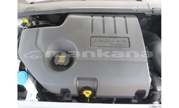 Buy Import Jaguar E-Pace White Car in Import - Dubai in Abhasia Buy Import Jaguar E-Pace White Car in Import - Dubai in Abhasia