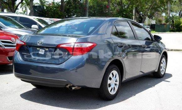 Buy Used Toyota Corolla Black Car in Tbilisi in Tbilisi Buy Used Toyota Corolla Black Car in Tbilisi in Tbilisi