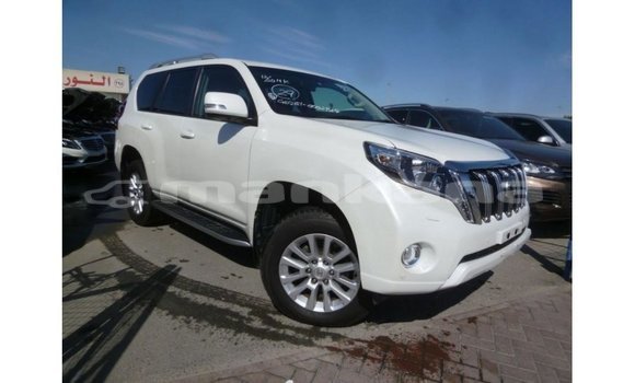 Buy Import Toyota Prado White Car in Import - Dubai in Abhasia Buy Import Toyota Prado White Car in Import - Dubai in Abhasia