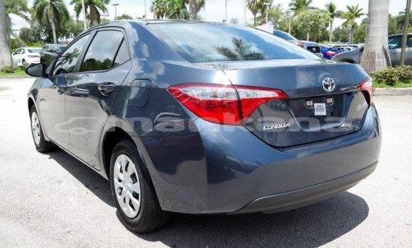 Buy Used Toyota Corolla Black Car in Tbilisi in Tbilisi Buy Used Toyota Corolla Black Car in Tbilisi in Tbilisi