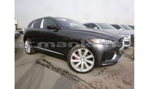 Buy Import Jaguar F-Type Black Car in Import - Dubai in Abhasia