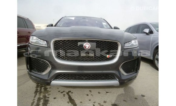 Buy Import Jaguar F-Type Black Car in Import - Dubai in Abhasia Buy Import Jaguar F-Type Black Car in Import - Dubai in Abhasia