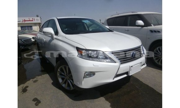 Buy Import Lexus RX White Car in Import - Dubai in Abhasia Buy Import Lexus RX White Car in Import - Dubai in Abhasia