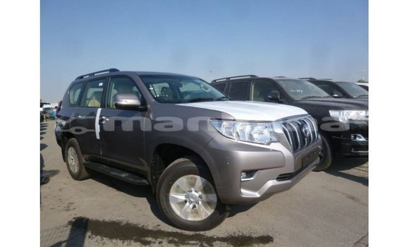 Buy Import Toyota Prado Other Car in Import - Dubai in Abhasia Buy Import Toyota Prado Other Car in Import - Dubai in Abhasia