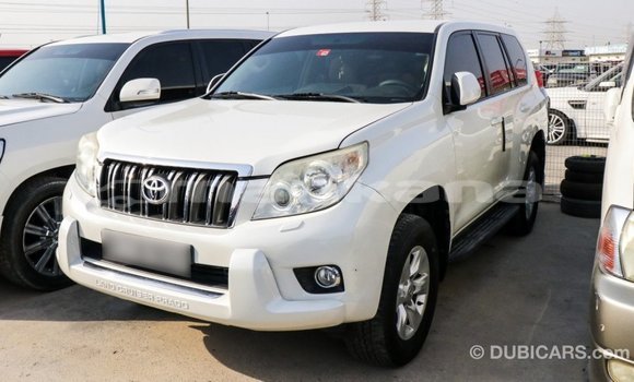 Buy Import Toyota Prado White Car in Import - Dubai in Abhasia Buy Import Toyota Prado White Car in Import - Dubai in Abhasia
