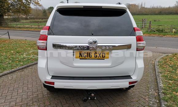 Buy Used Toyota Land Cruiser Beige Car in Tbilisi in Tbilisi Buy Used Toyota Land Cruiser Beige Car in Tbilisi in Tbilisi