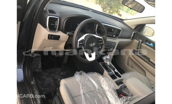 Buy Import Kia Sportage Brown Car in Import - Dubai in Abhasia Buy Import Kia Sportage Brown Car in Import - Dubai in Abhasia