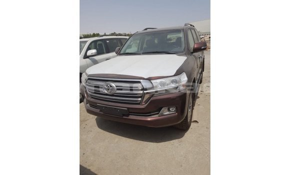 Buy Import Toyota Land Cruiser Brown Car in Import - Dubai in Abhasia Buy Import Toyota Land Cruiser Brown Car in Import - Dubai in Abhasia