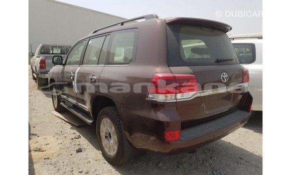 Buy Import Toyota Land Cruiser Brown Car in Import - Dubai in Abhasia Buy Import Toyota Land Cruiser Brown Car in Import - Dubai in Abhasia