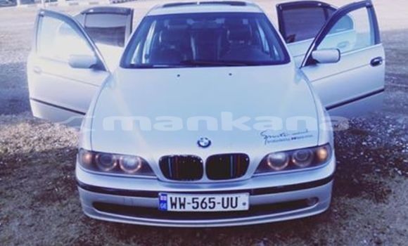 Medium with watermark 51674522 1131442753683711 1810863954088427520 n