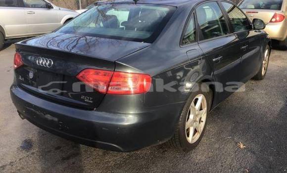 Buy Used Audi A4 Other Car in Tbilisi in Tbilisi Buy Used Audi A4 Other Car in Tbilisi in Tbilisi
