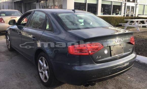 Buy Used Audi A4 Other Car in Tbilisi in Tbilisi Buy Used Audi A4 Other Car in Tbilisi in Tbilisi