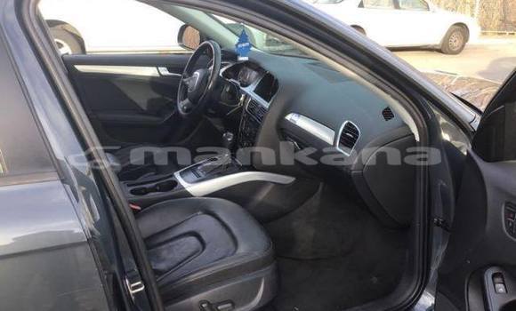 Buy Used Audi A4 Other Car in Tbilisi in Tbilisi Buy Used Audi A4 Other Car in Tbilisi in Tbilisi