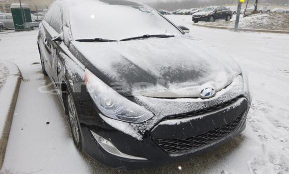 Buy Used Hyundai Sonata Black Car in Tbilisi in Tbilisi