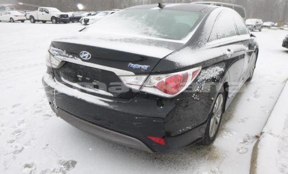 Buy Used Hyundai Sonata Black Car in Tbilisi in Tbilisi Buy Used Hyundai Sonata Black Car in Tbilisi in Tbilisi