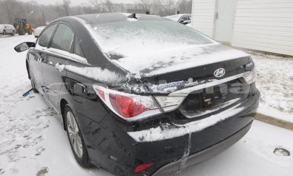 Buy Used Hyundai Sonata Black Car in Tbilisi in Tbilisi Buy Used Hyundai Sonata Black Car in Tbilisi in Tbilisi